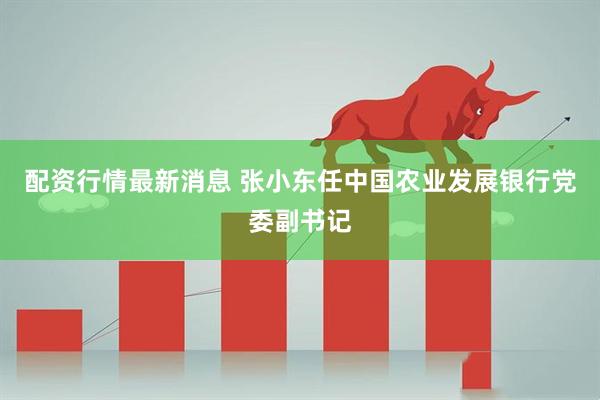 配资行情最新消息 张小东任中国农业发展银行党委副书记